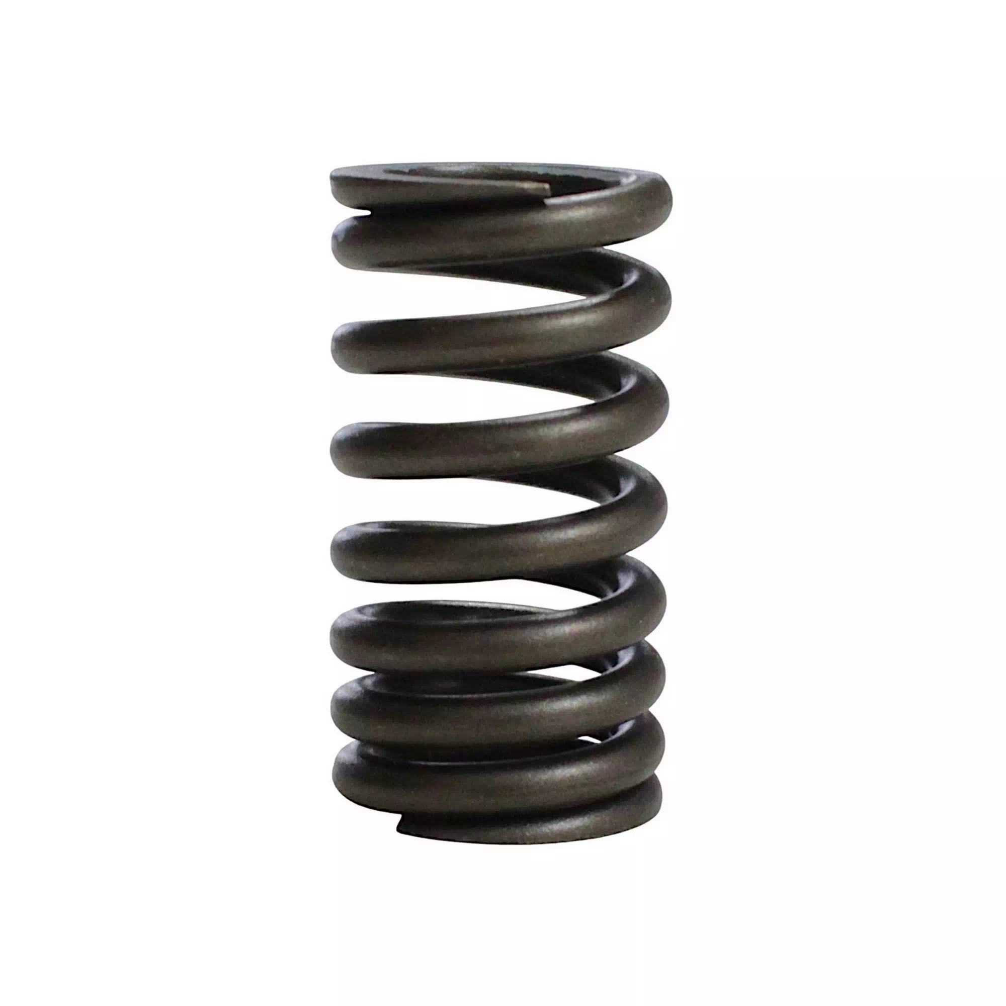 QJ MOTOR SRK 125-R SUPAP YAYI TAKIM #RK 53736
